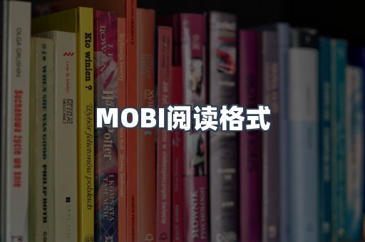 MOBI阅读格式